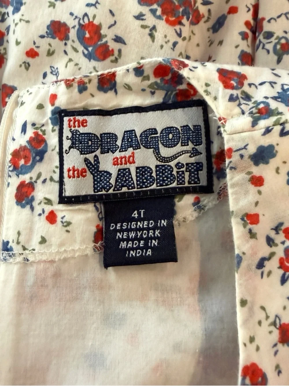 The Dragon and the Rabbit Girls 4T Dress